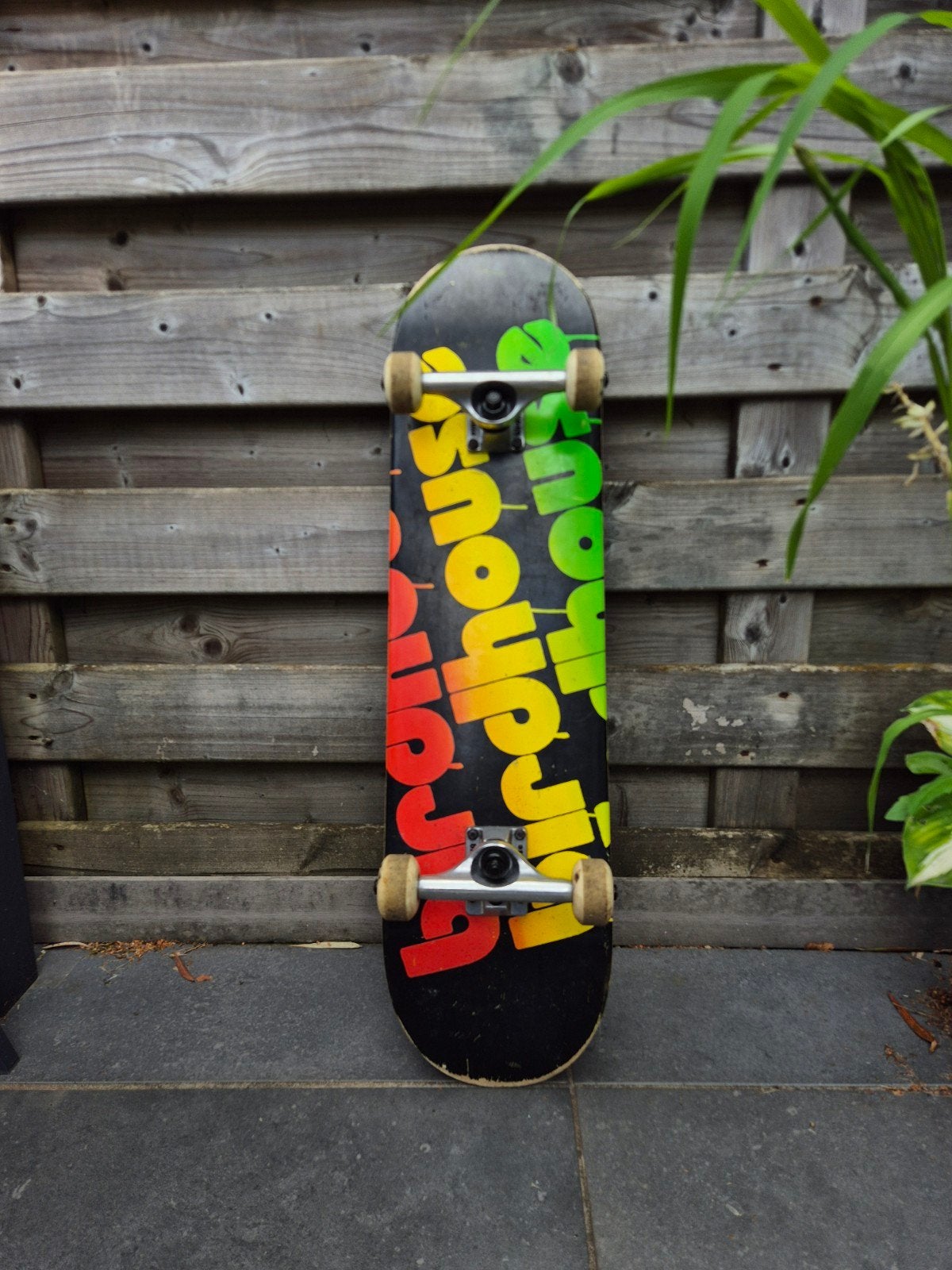 skateboard birdhouse, Sport en Fitness, Ophalen of Verzenden, Gebruikt, Skateboard