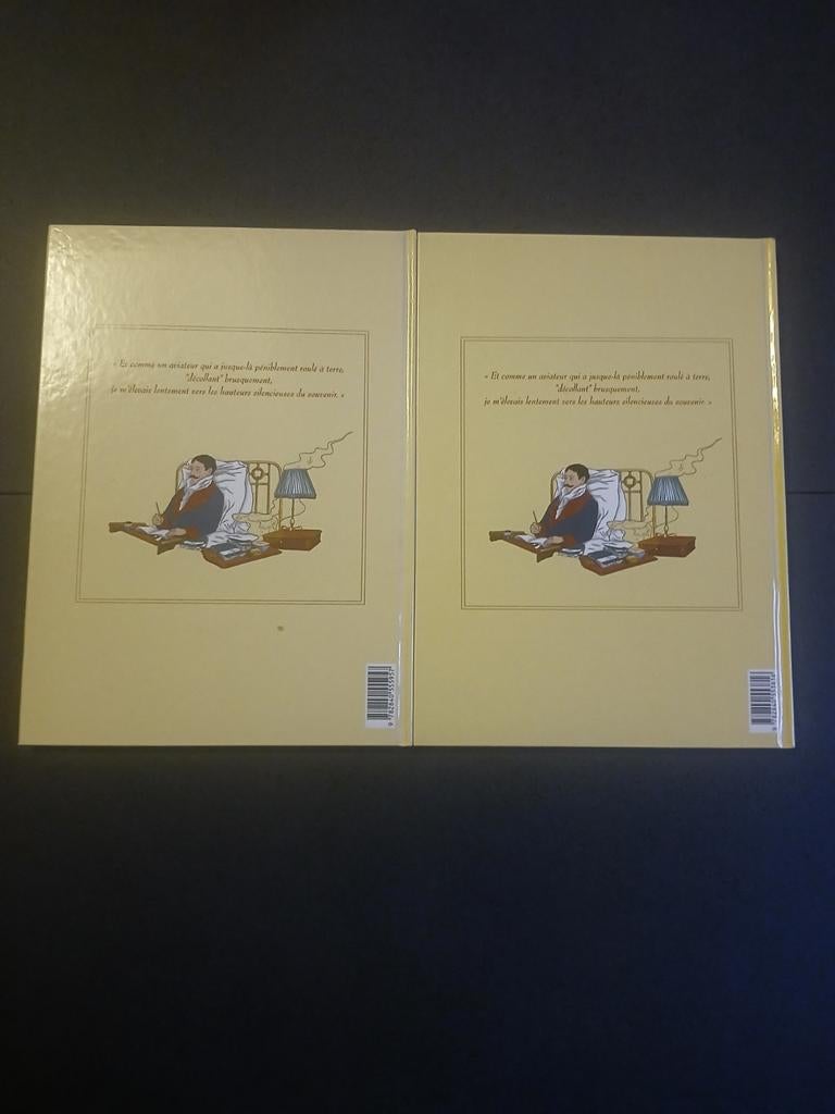 Lot de 2 bd à la recherche du temps perdu 2 et 3, Boeken, Stripverhalen, Ophalen of Verzenden