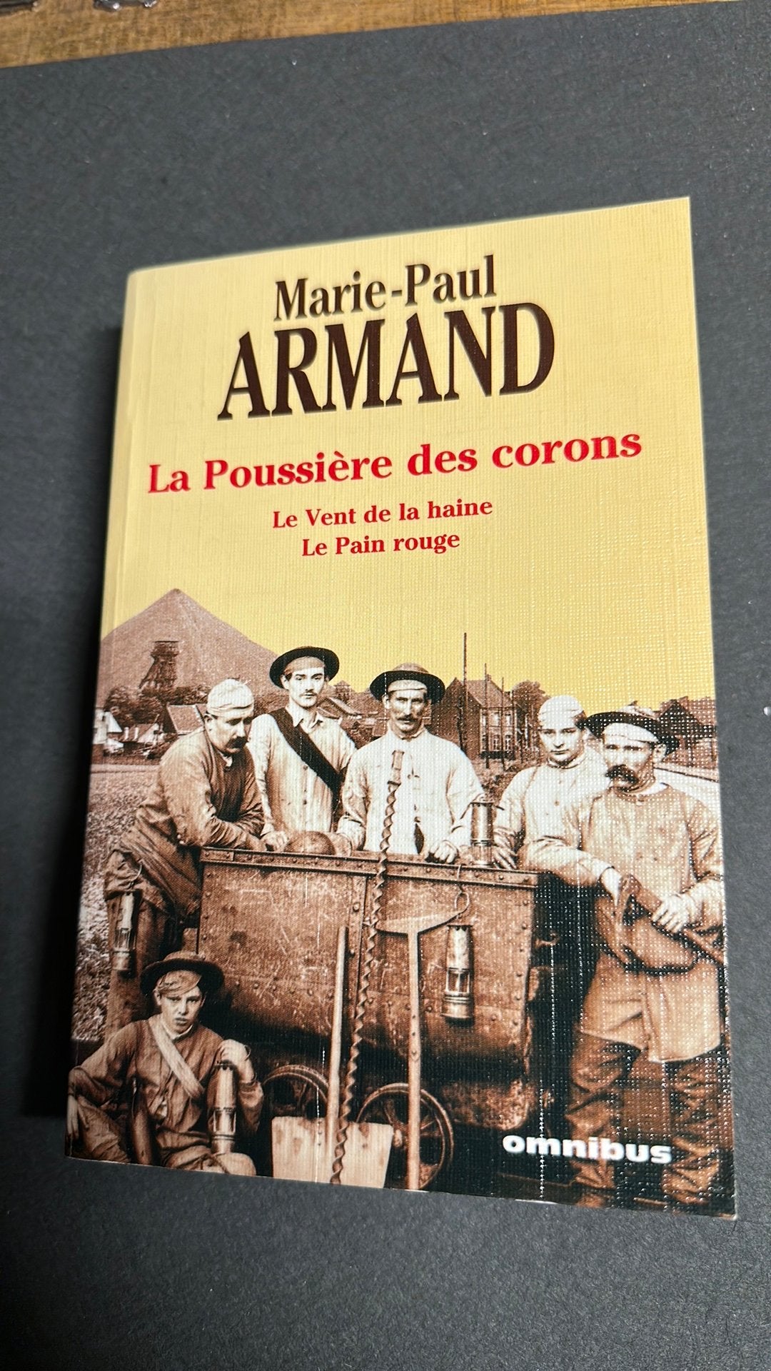 La poussière des corons de Marie-Paule Armand, Livres, Romans, Enlèvement ou Envoi, Comme neuf