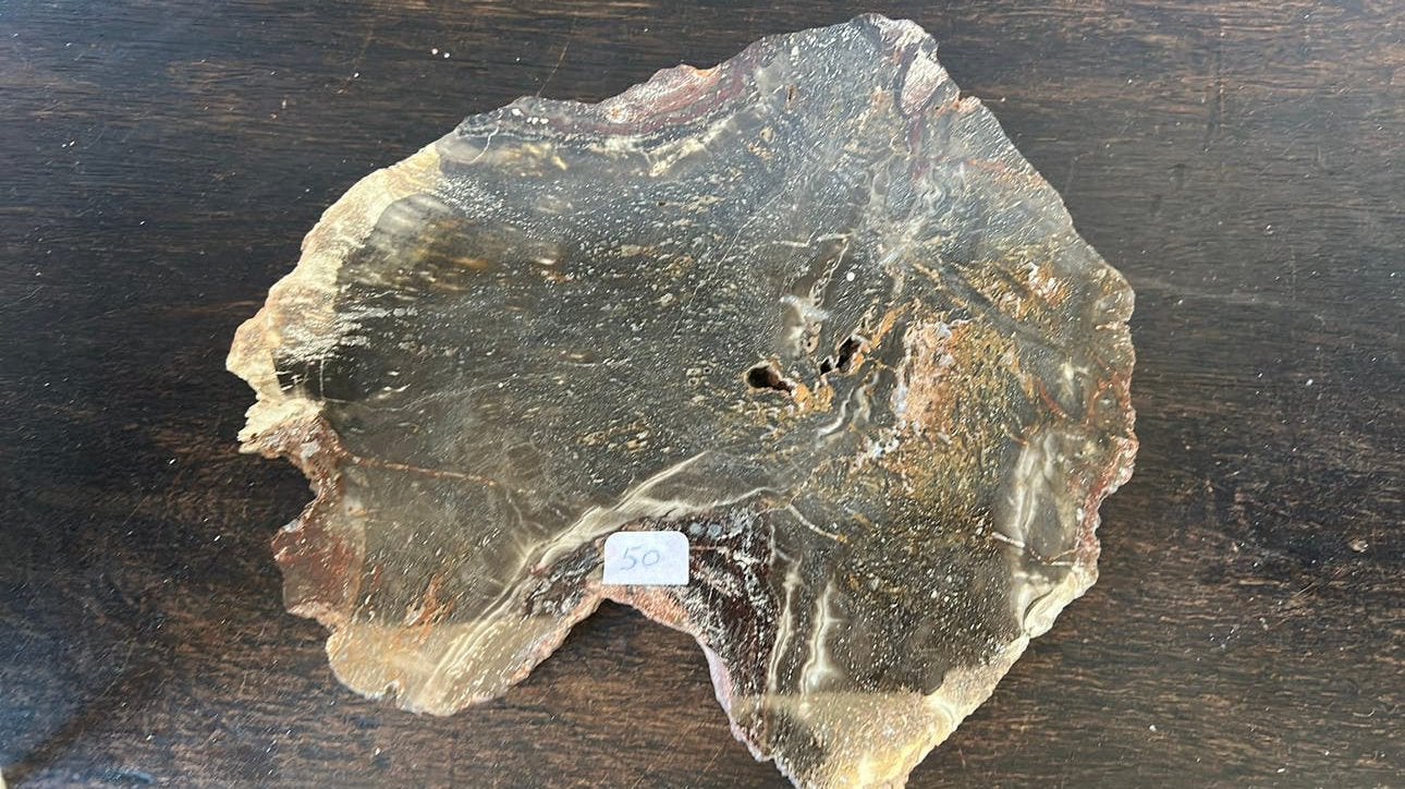 une tranche de bois fossil 20x18 cm (appelé bois pétrifié), Enlèvement ou Envoi, Fossile