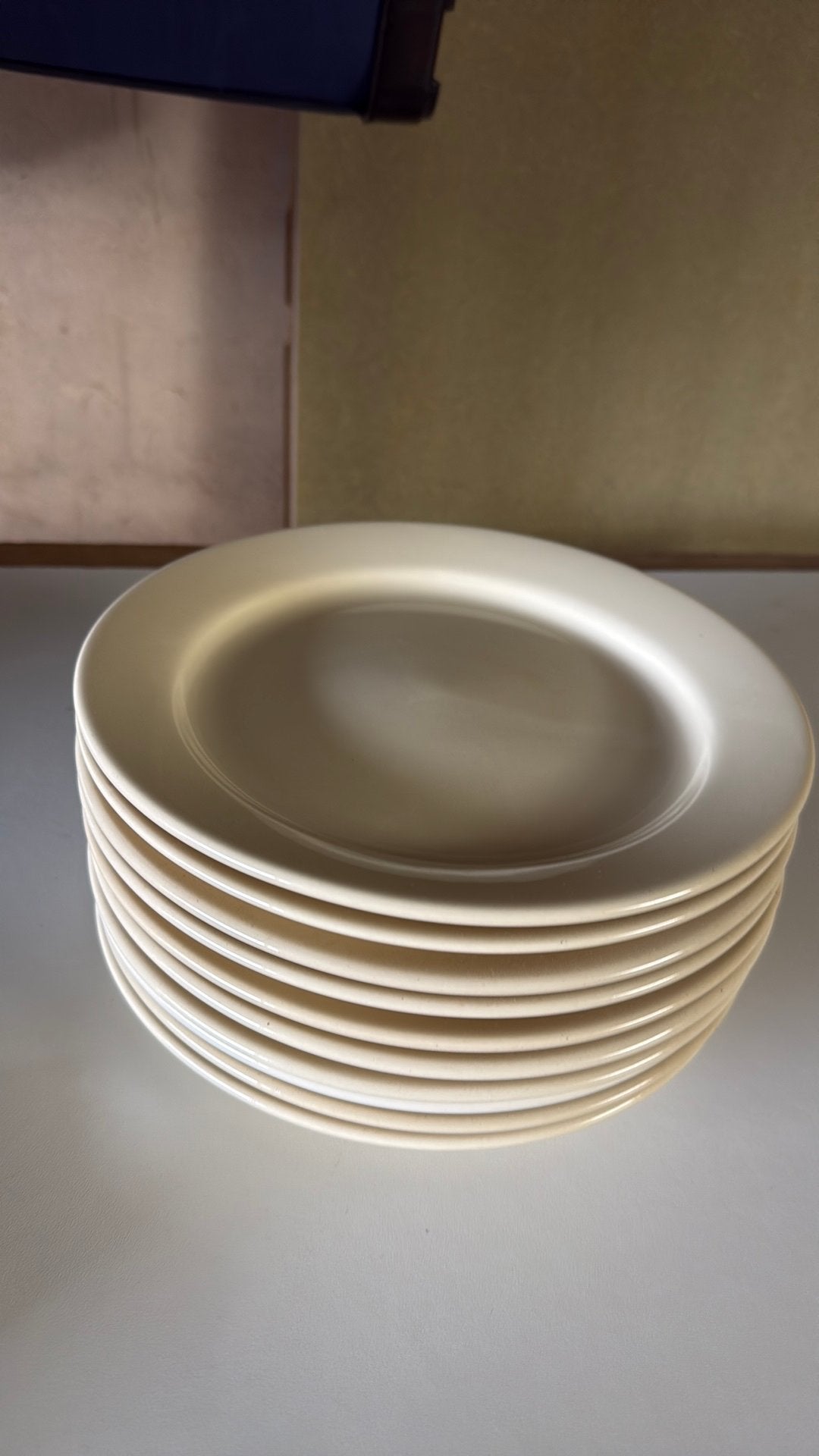 10 grote borden NIEUW, Enlèvement, Assiettes(s)