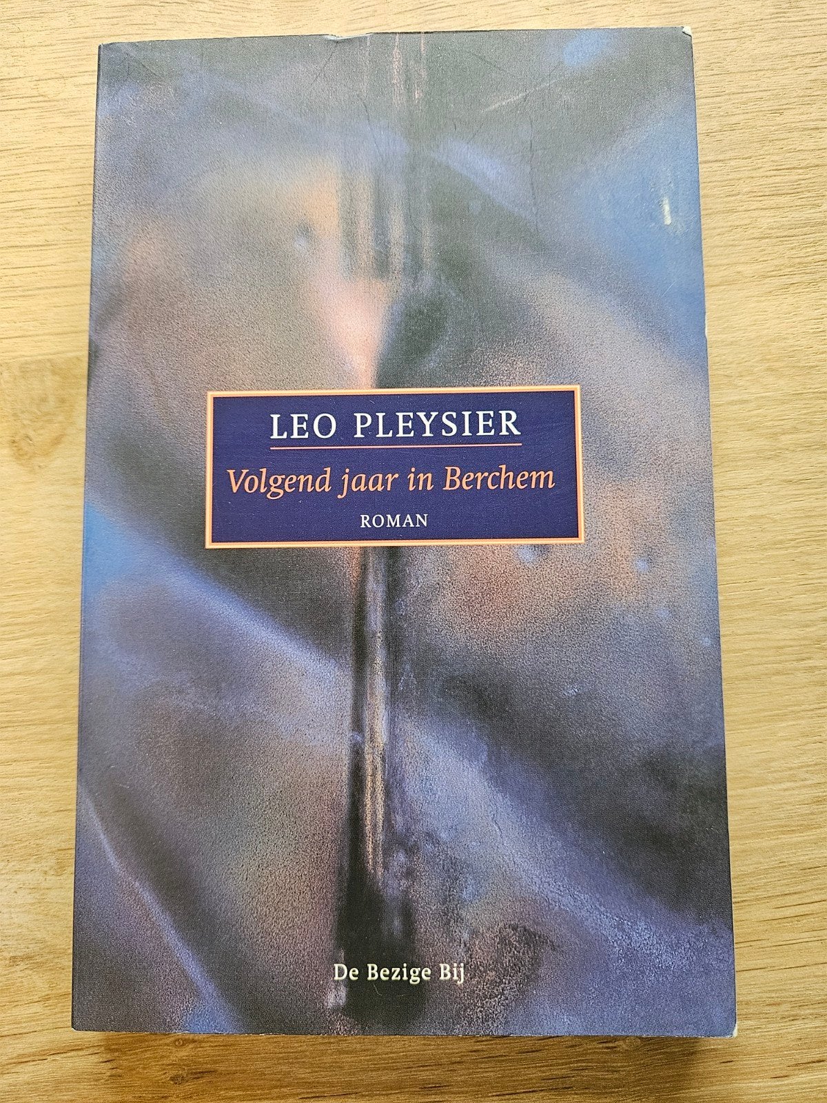 Leo Pleysier - Volgend jaar in Berchem, Boeken, Ophalen, Leo Pleysier