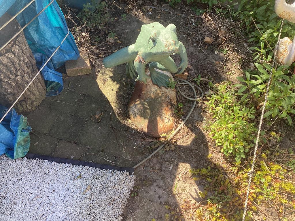 Kikker, Tuin en Terras, Vijvers, Ophalen, Gebruikt