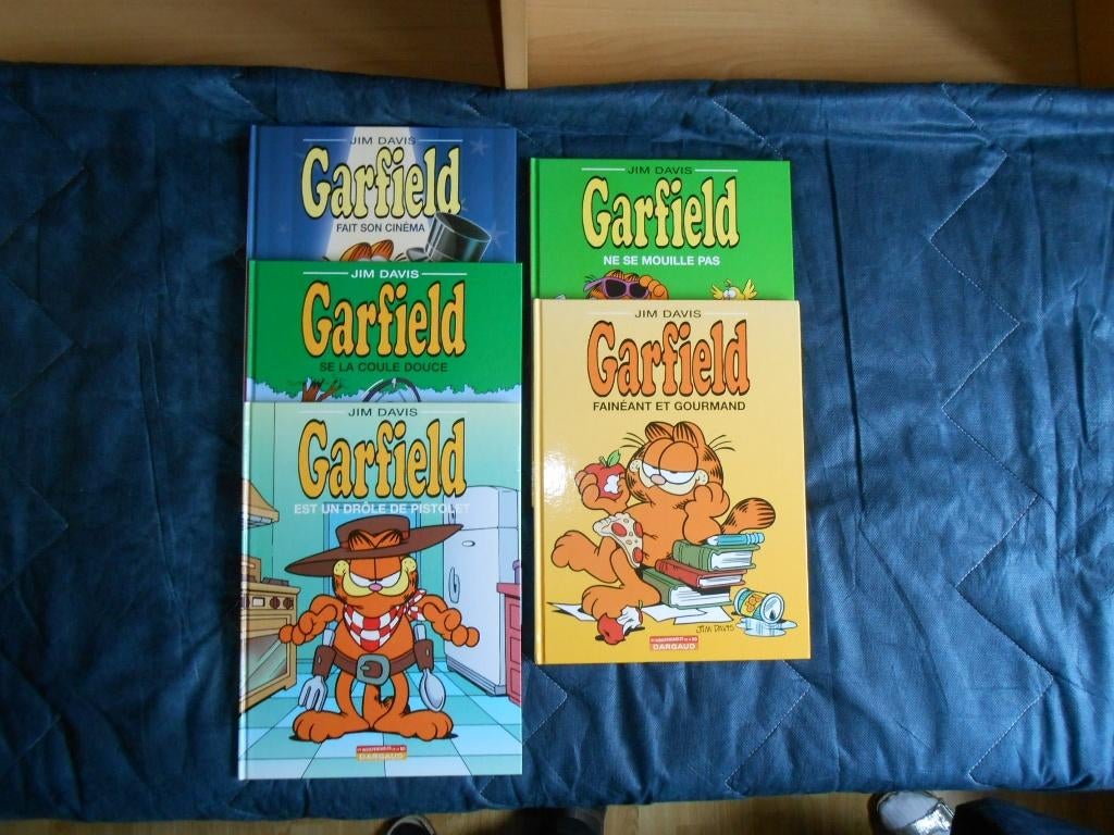 Bande dessinée Garfield, Verzamelen, Ophalen of Verzenden, Garfield, Zo goed als nieuw