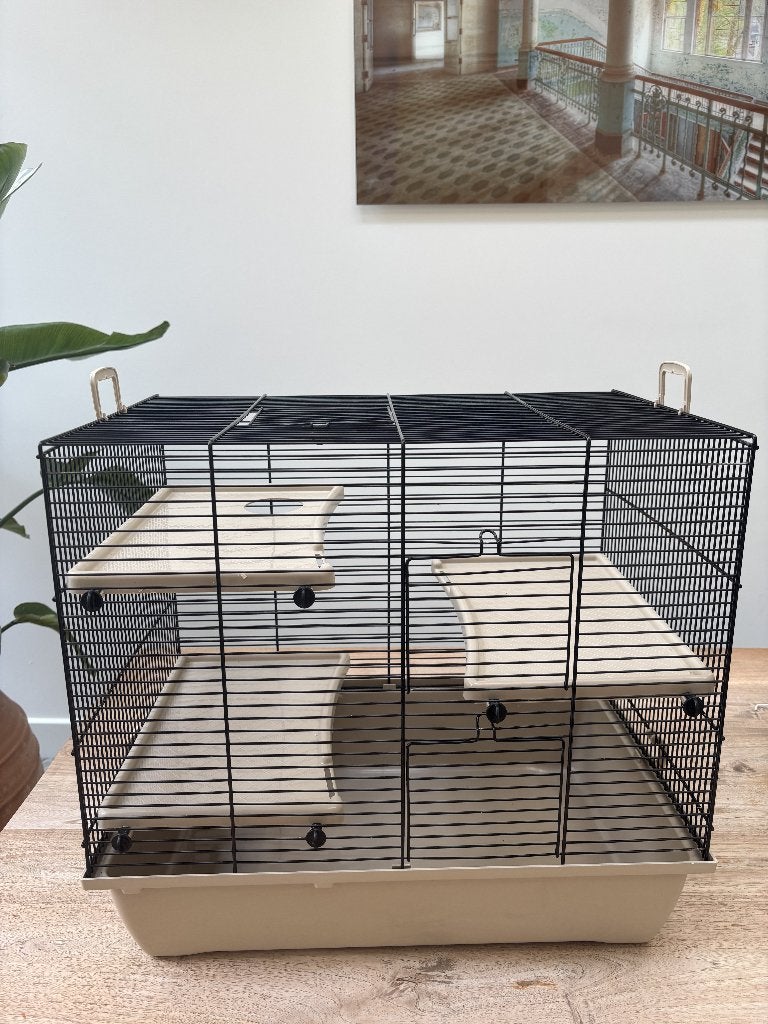 Hamsterkooi met accessoires, Minder dan 60 cm, Kooi, Minder dan 75 cm, Ophalen of Verzenden