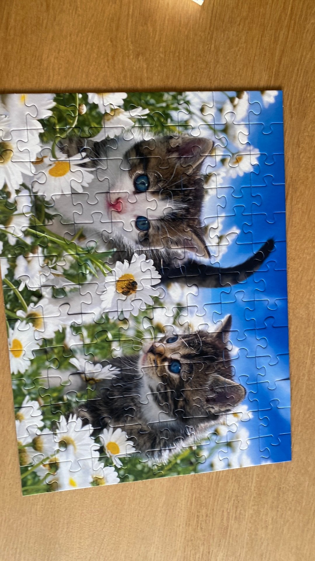 Katten puzzel XXL 100, Kinderen en Baby's, Ophalen of Verzenden, Meer dan 50 stukjes, Gebruikt, 6 jaar of ouder