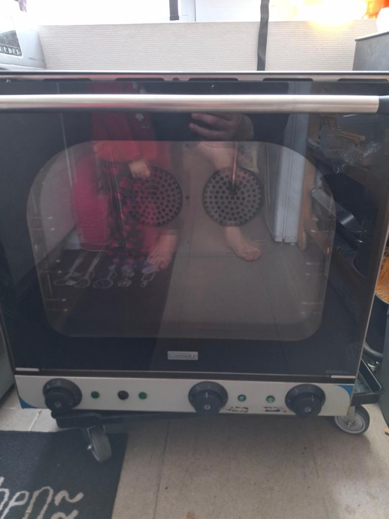 Professionele microgolfoven, Elektronische apparatuur, Ovens, Ophalen of Verzenden, Oven