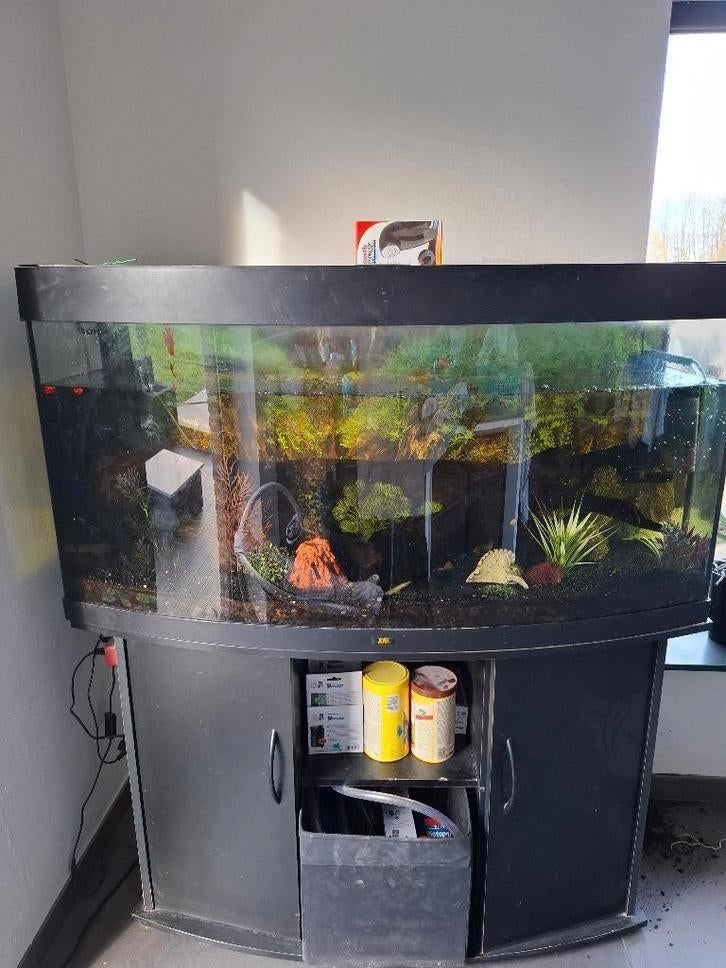 Aquarium, Dieren en Toebehoren, Ophalen, Gebruikt