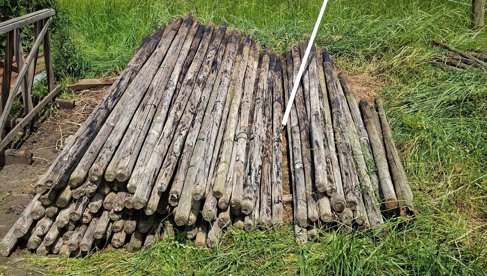 Weidepalen 12 stuks