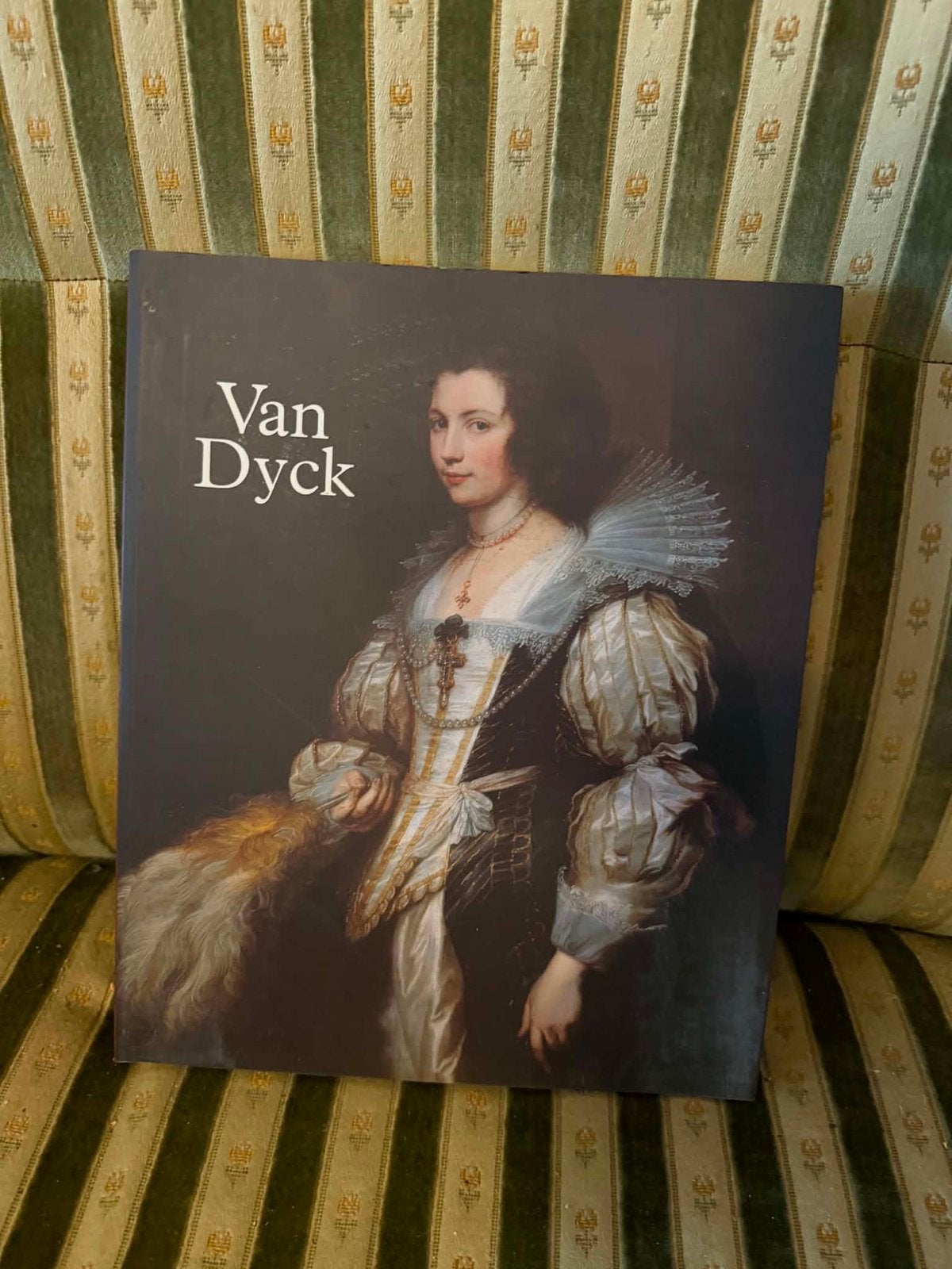 Boek Van Dyck, Ophalen, Zo goed als nieuw