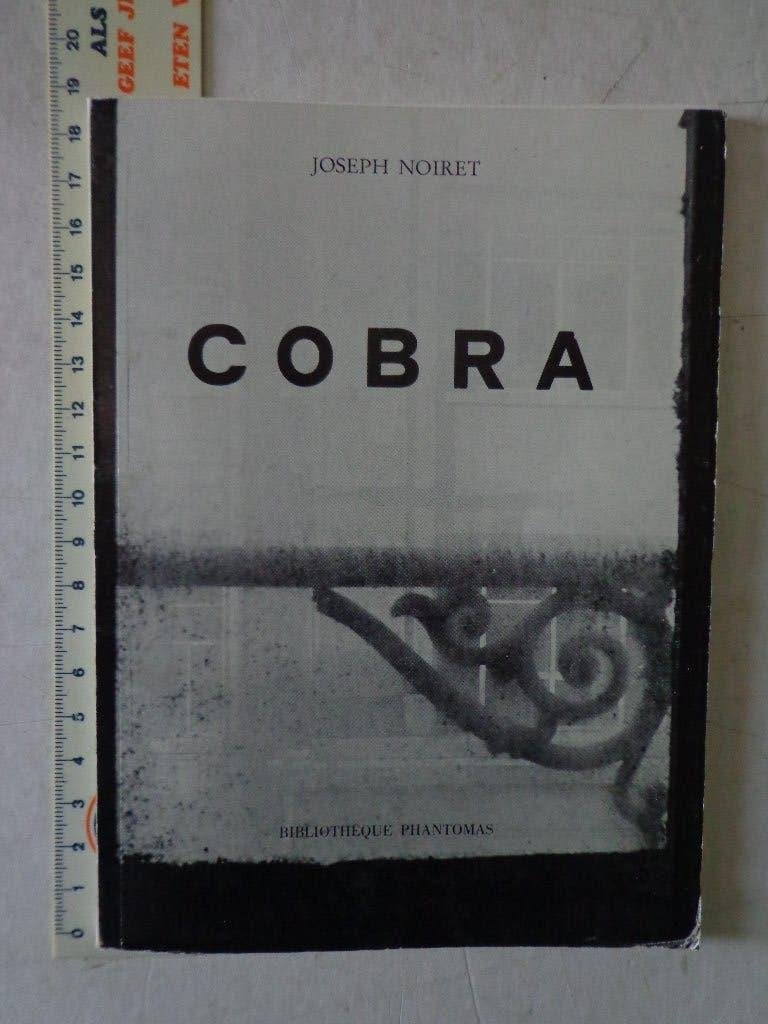 kunstboek Cobra door Joseph Noiret uit 1972, Gelezen, Joseph Noiret, Ophalen of Verzenden, Overige onderwerpen