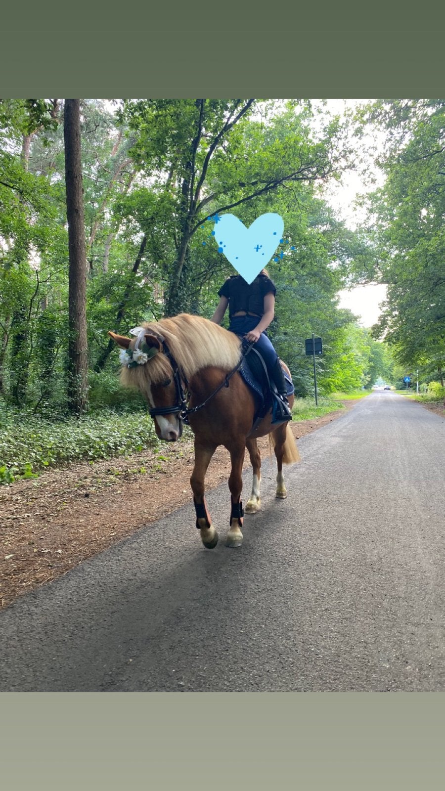 A pony Te koop, Merrie, Zadelmak, A pony (tot 1.17m), 3 tot 6 jaar