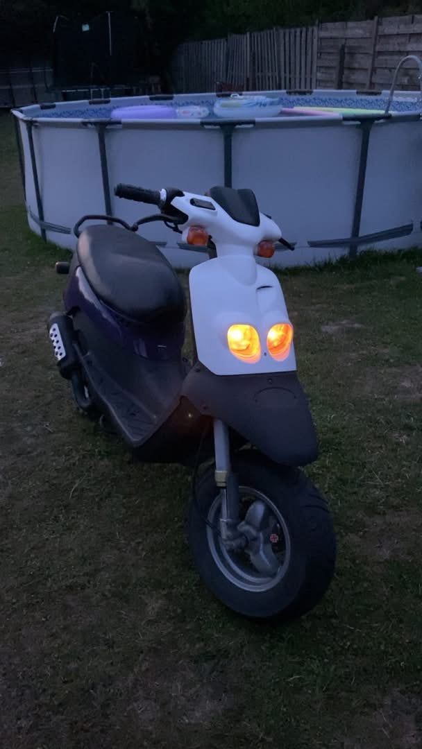 Brommer, peugeot squab, Ophalen, Gebruikt, Carburateur, Peugeot