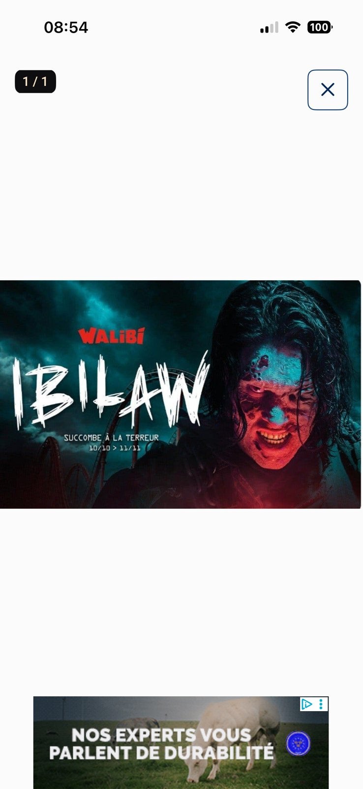 E ticket walibi Halloween Belgique, Trois personnes ou plus, Forfait, Ticket ou Carte d'accès