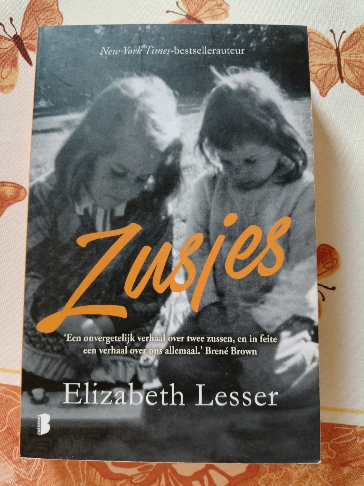 Elizabeth Lesser - Zusjes, Livres, Psychologie, Enlèvement ou Envoi