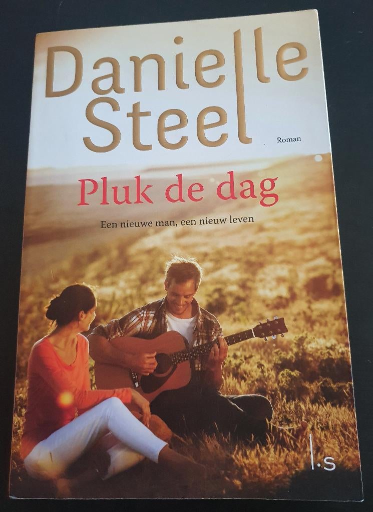 Roman van Danielle Steel: Pluk de dag, Boeken, Romans, Gelezen, Ophalen of Verzenden