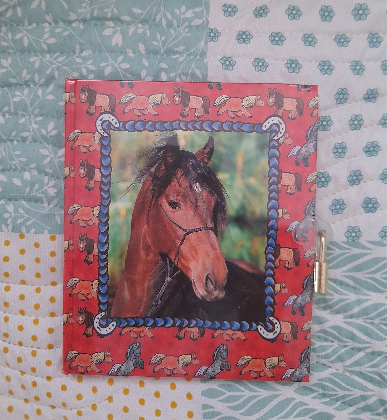 Journal intime avec cadenas