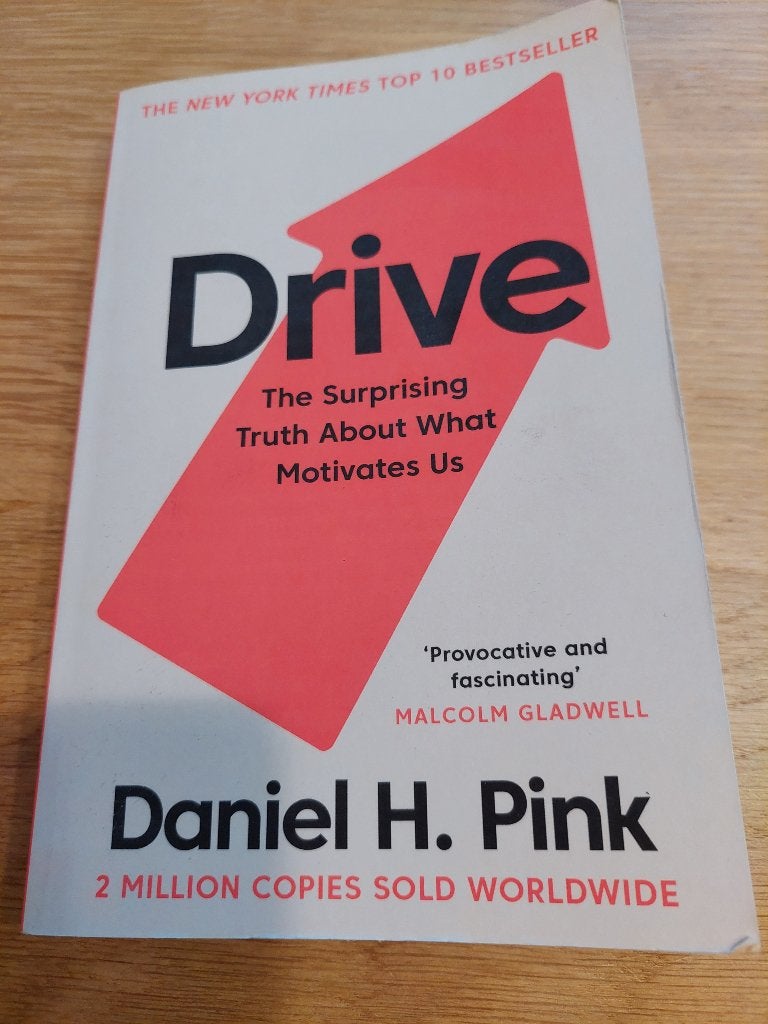 Engelse bestseller: Drive van Daniel H. Pink, Boeken, Daniel H. Pink, Ophalen of Verzenden, Zo goed als nieuw, Amerika