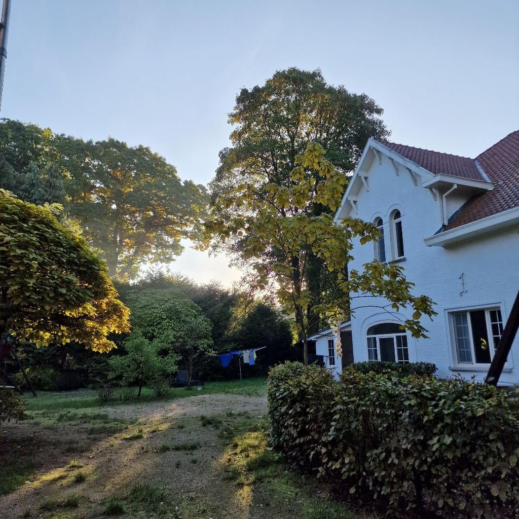 Authentieke villa Brasschaat, Immo, 280 kWh/m²/jaar, 1000 tot 1500 m², Brasschaat, Twee onder één kap