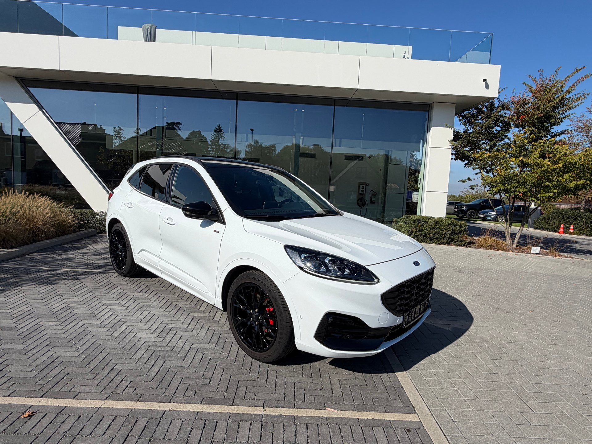 Ford Kuga EcoBoost ST-Line X (année de construction 2022), Achat, Autres couleurs, 5 places, 150 ch