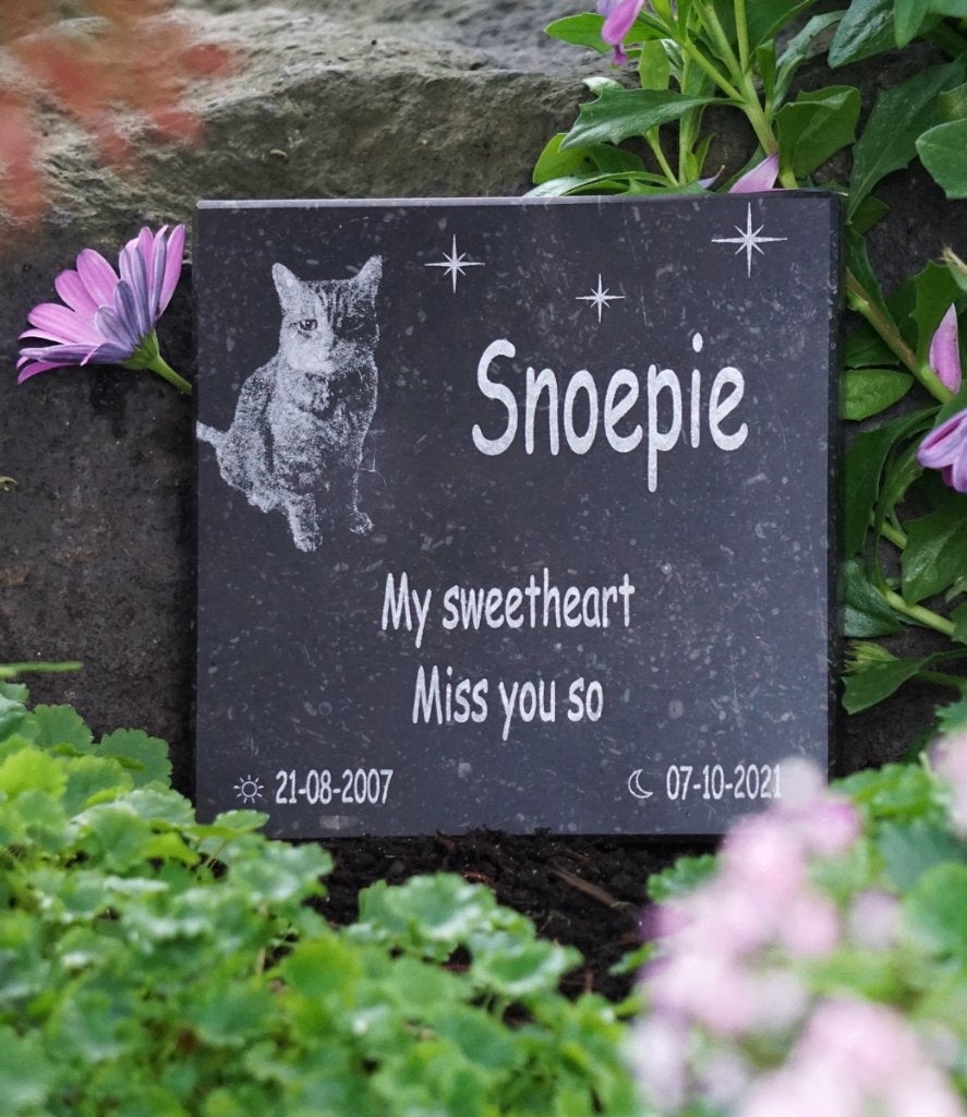 Gedenksteen van hardsteen voor hond of kat met fotogravure, Dieren en Toebehoren, Ophalen of Verzenden, Nieuw