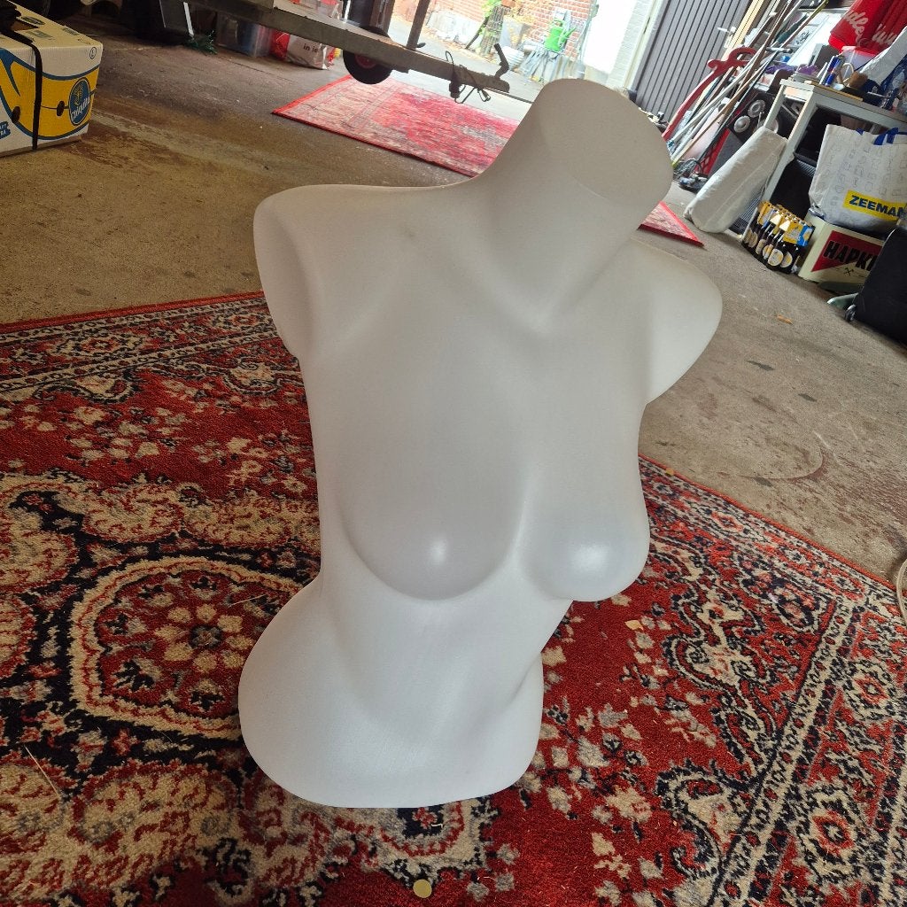 Dames buste mannequin, Enlèvement