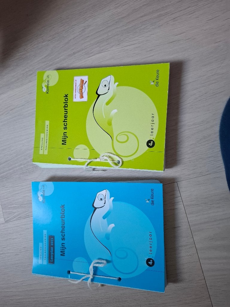 Kameleon Scheurblok  4de leerjaar, Boeken, Ophalen of Verzenden, Zo goed als nieuw, Nederlands