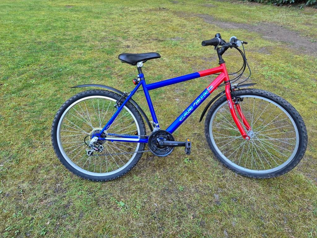 Fiets car bike, Fietsen en Brommers, Gebruikt, Hardtail, Heren, Ophalen