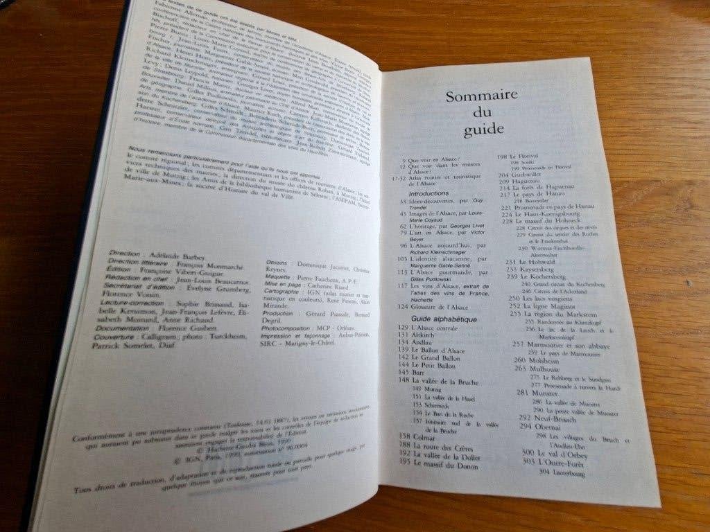 Les Guides Bleus - Alsace en Rhône-Alpes, Livres, Guide ou Livre de voyage, Autres marques, Enlèvement ou Envoi, Utilisé