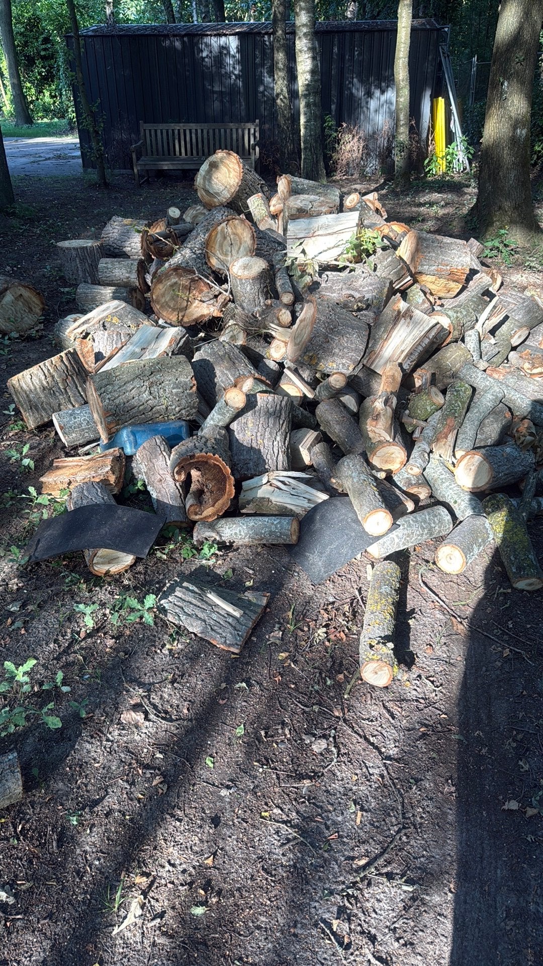 5cub canada, Tuin en Terras, Brandhout, 3 tot 6 m³, Ophalen, Overige houtsoorten, Stammen