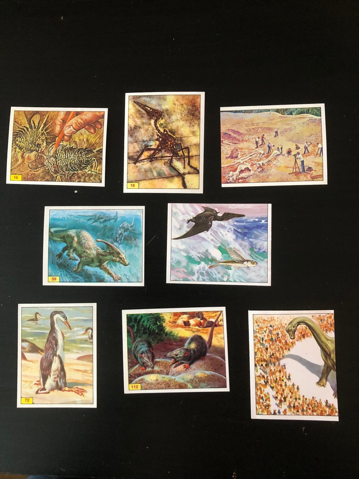 Stickers reeks Panini - prehistorische dieren, Ophalen of Verzenden, Nieuw, Dier en Natuur