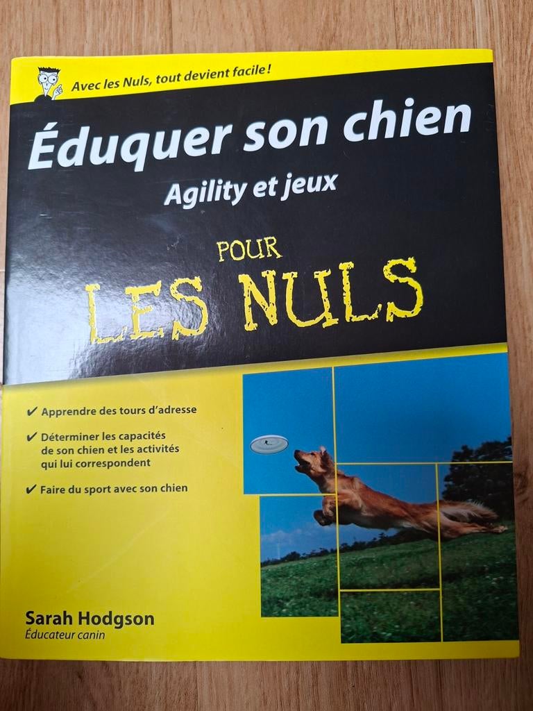 Je hond trainen Behendigheid en spelletjes voor dummies 389, Ophalen
