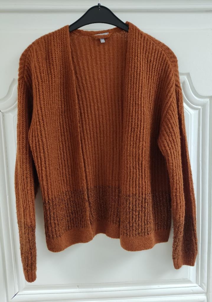 Zachte open gilet, breiwerk, JBC, maat 146-152, Kinderen en Baby's, Kinderkleding | Maat 146, Meisje, Trui of Vest, Nieuw, Ophalen of Verzenden