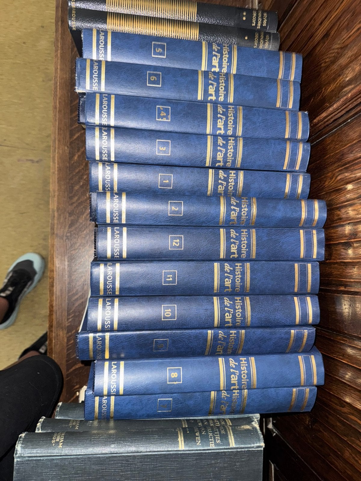 HISTOIRE DE L’ART LAROUSSE 📚, Boeken, Ophalen, Gelezen