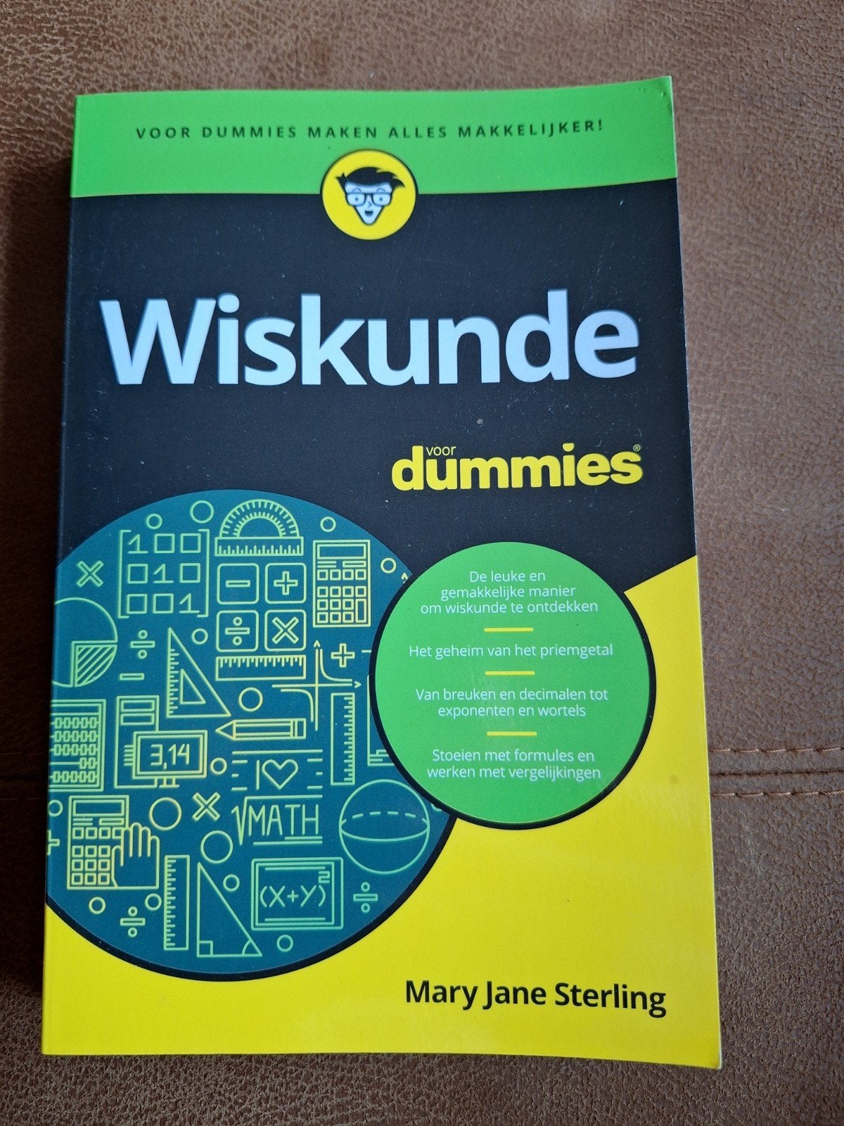 Mary Jane Sterling - Wiskunde voor Dummies, Enlèvement ou Envoi, Comme neuf, Autres sciences, Mary Jane Sterling
