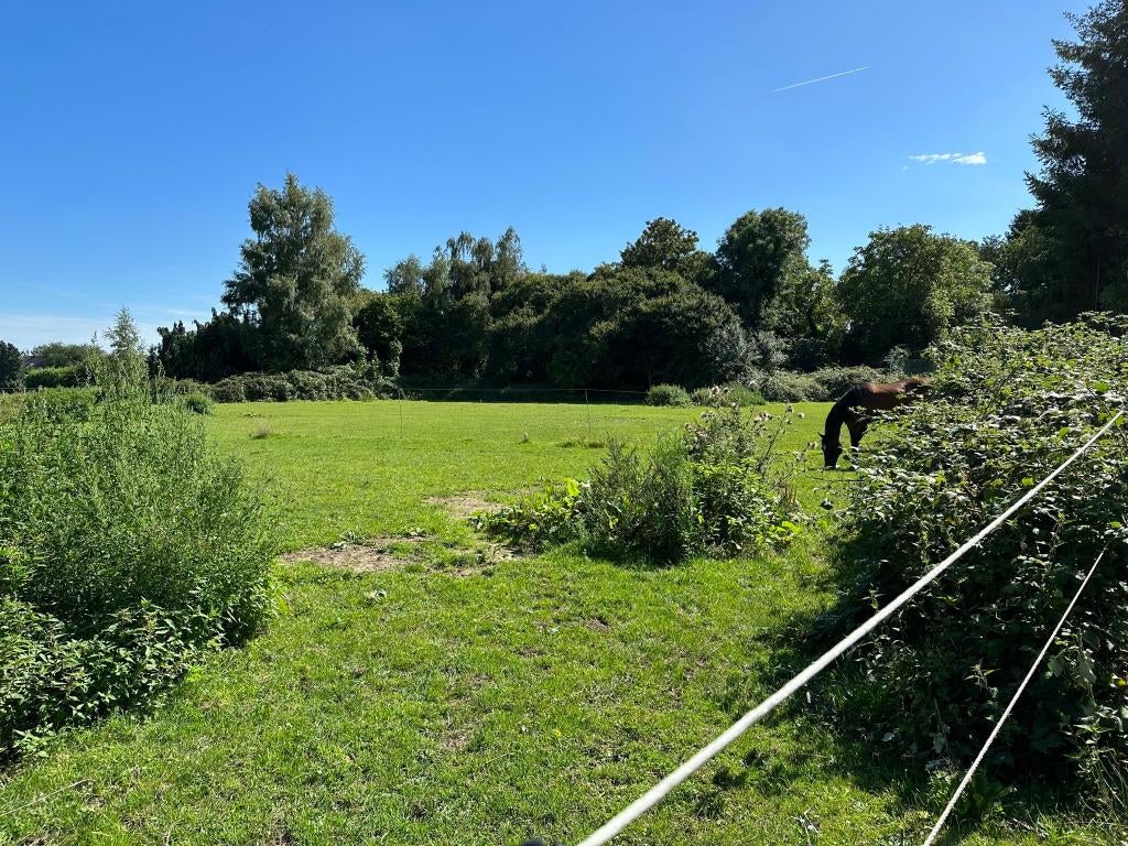 Weide met vergund gebouw, Weidegang