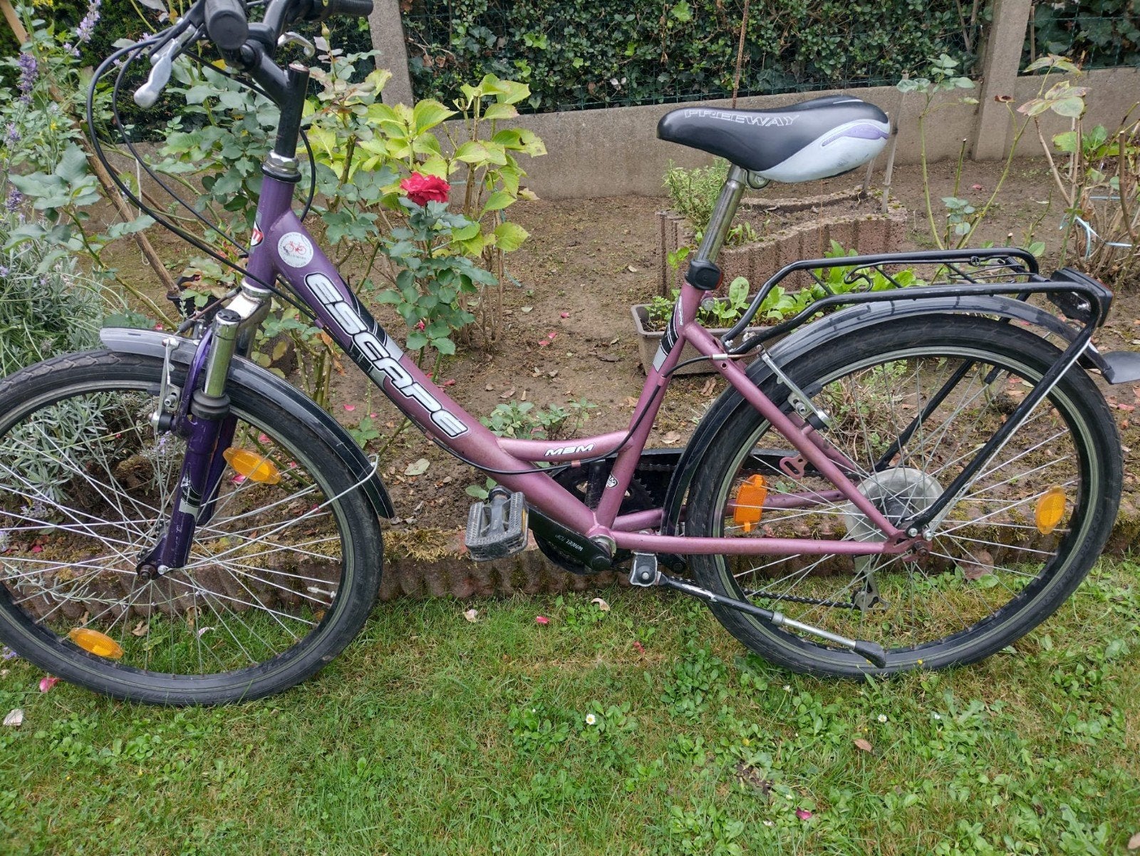 ESCAPE 24-INCH MOUNTAINBIKE MET 6 VERSNELLINGEN, Ophalen, Versnellingen