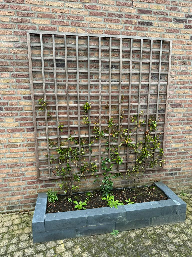 Klimplantroosters hardhout, Tuin en Terras, Ophalen, Nieuw
