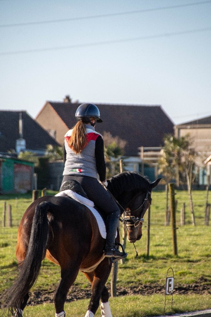 Ervaren Lesgever Paardensport gediplomeerd- Lespony Mogelijk