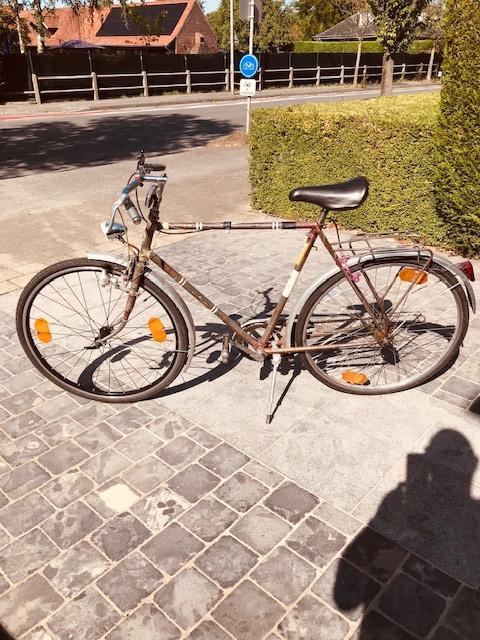 Herenfiets, Fietsen en Brommers, Gebruikt, Velgrem, Versnellingen, 65 cm of meer