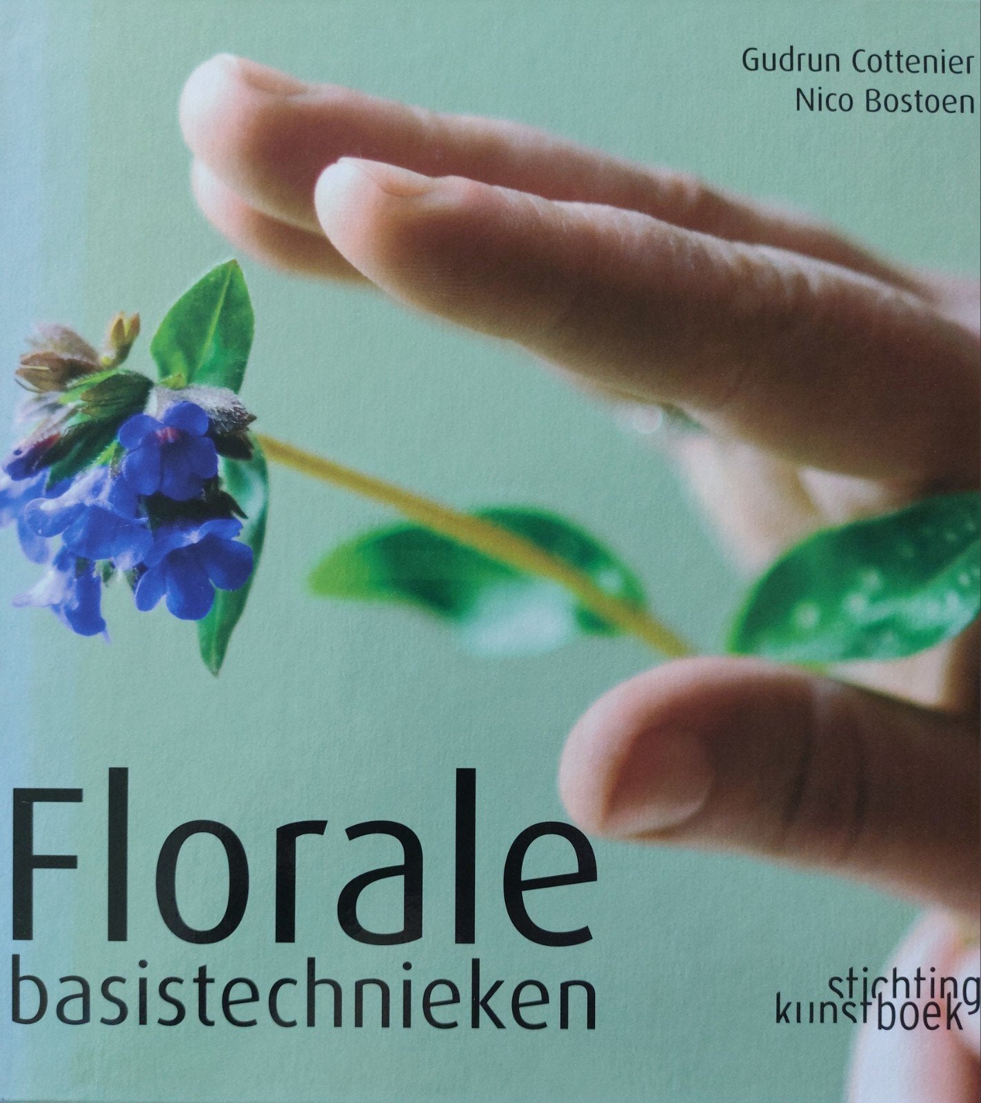 G. Cottenier - Florale basistechnieken, Boeken, Ophalen, G. Cottenier; N. Bostoen