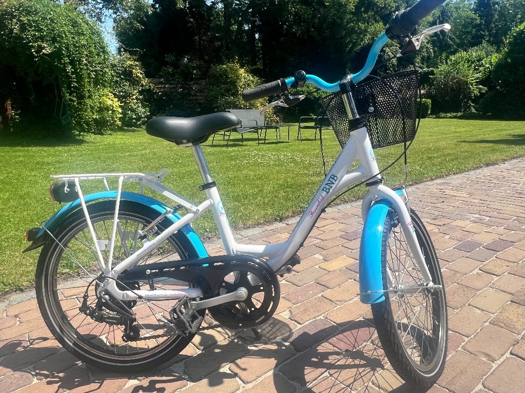BNB Flowerkid 20 inch meisjesfiets, Fietsen en Brommers, Ophalen, 16 tot 20 inch, Velgrem, Zo goed als nieuw