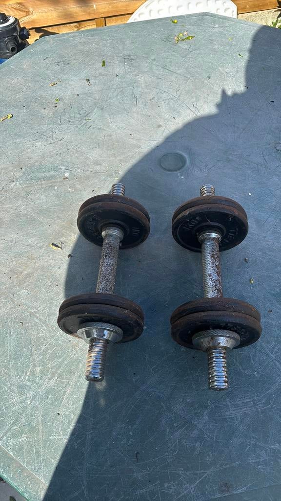 Halters, Sport en Fitness, Fitnessmaterialen, Ophalen, Gebruikt, Halterset