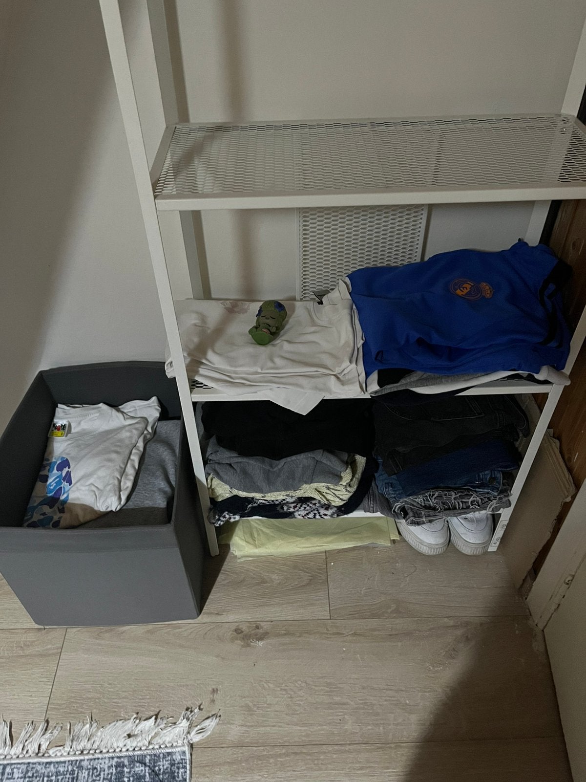 Kleren, Ophalen of Verzenden, Nieuw