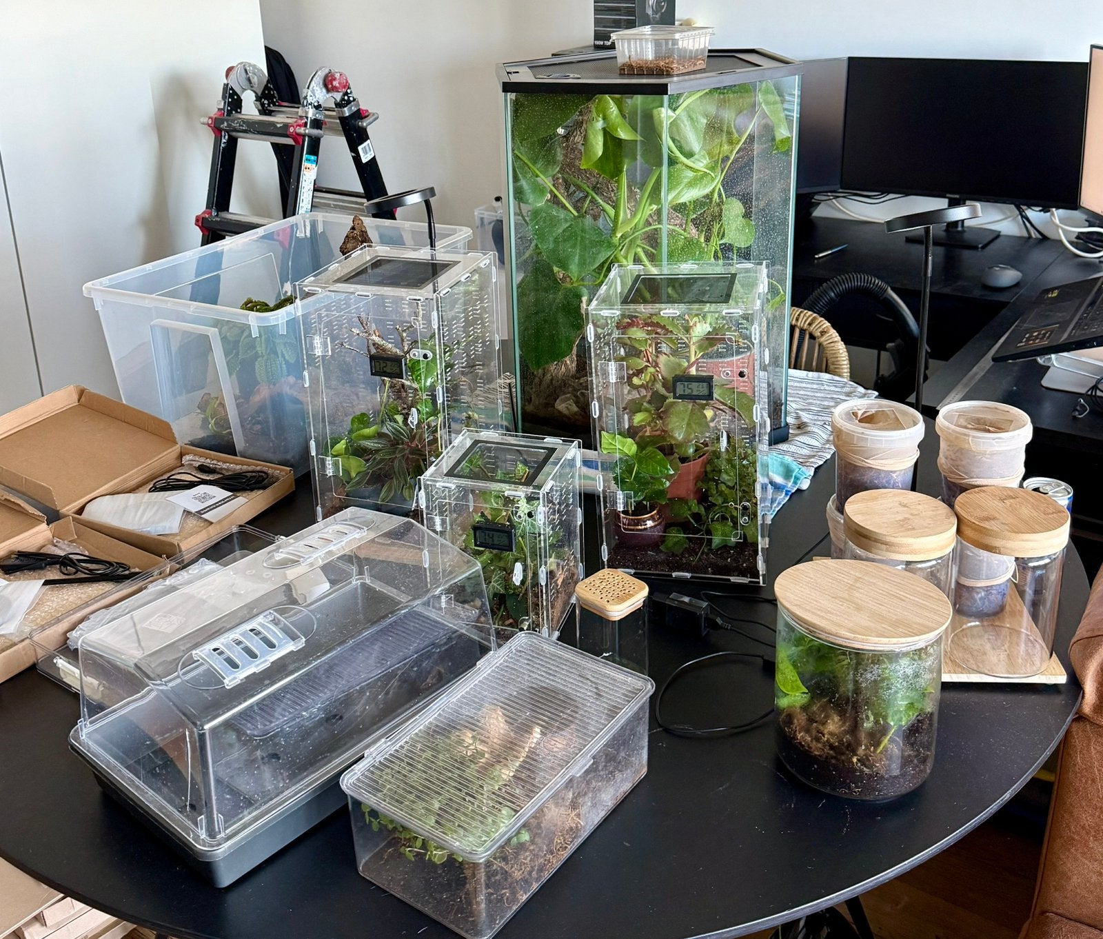 LOT COMPLET TERRARIUMS+ÉCLAIRAGES + PLANTES + ACCESSOIRES, Enlèvement, Terrarium ou Paludarium