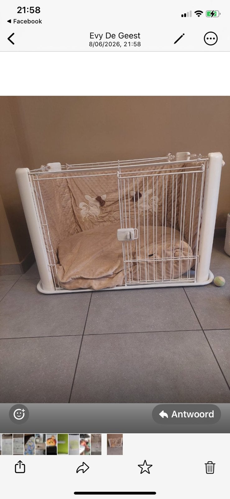 Honden bench, Dieren en Toebehoren, Ophalen of Verzenden, Zo goed als nieuw