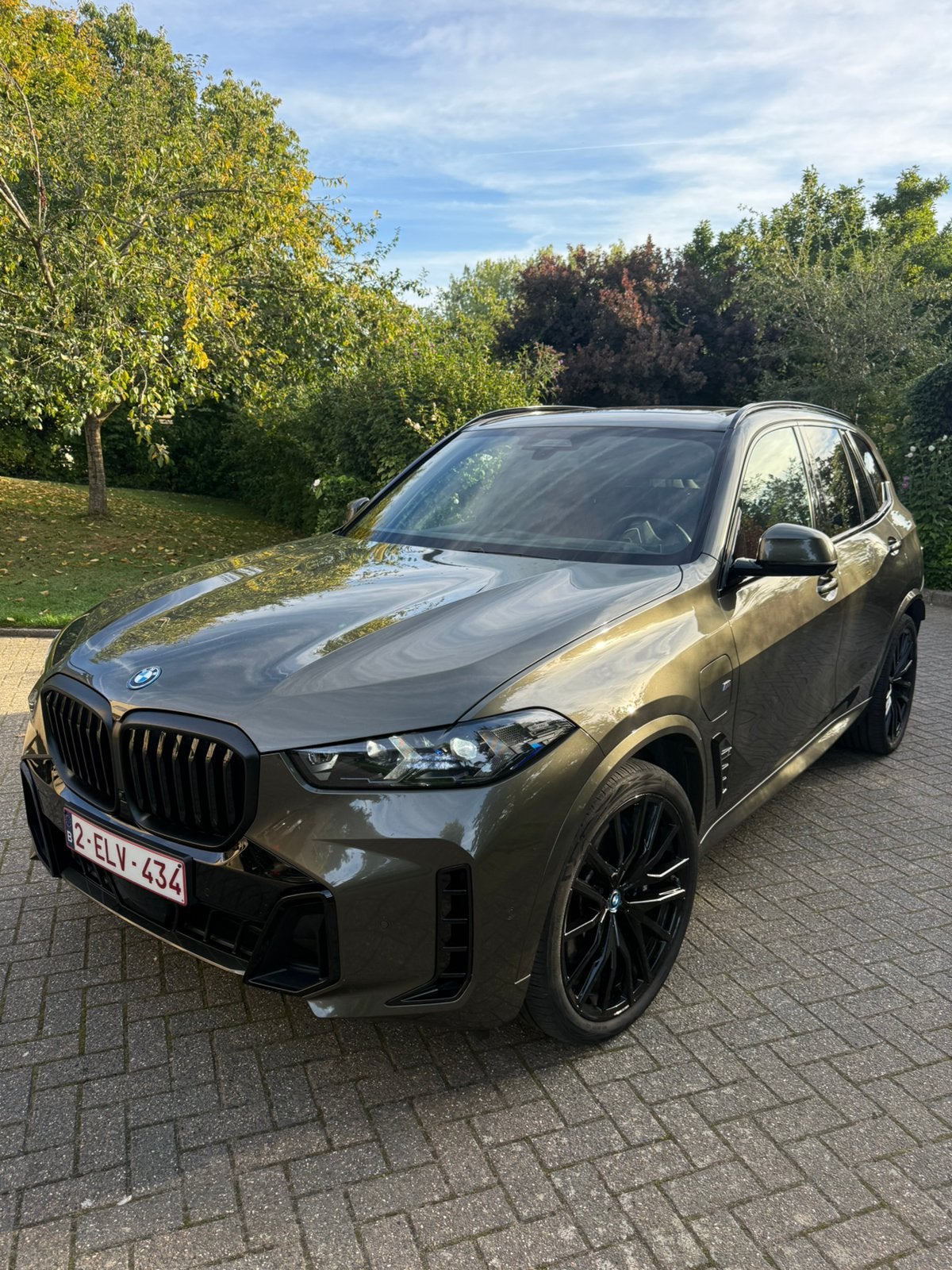 BMW x5 50E, X5, Dakrails, Bedrijf, Te koop