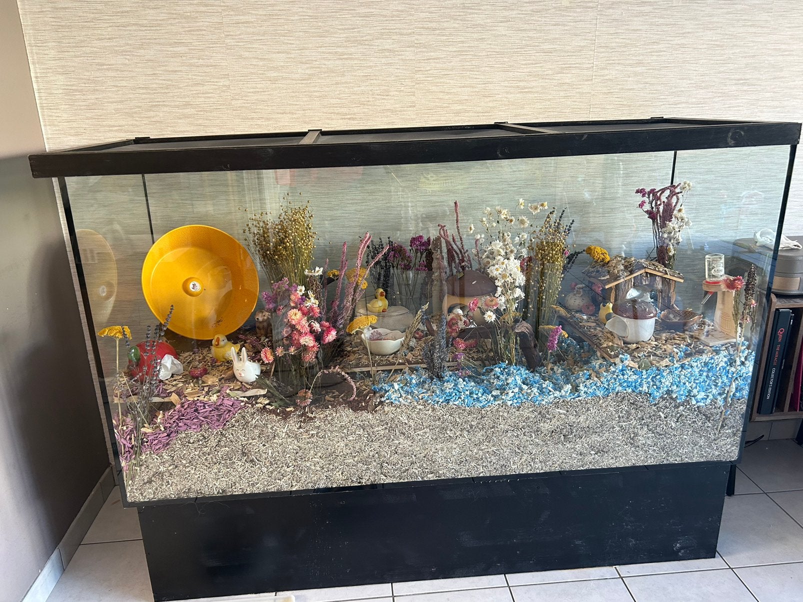 Groot verblijf te koop, 90 cm ou plus, Enlèvement, Utilisé, Autres types