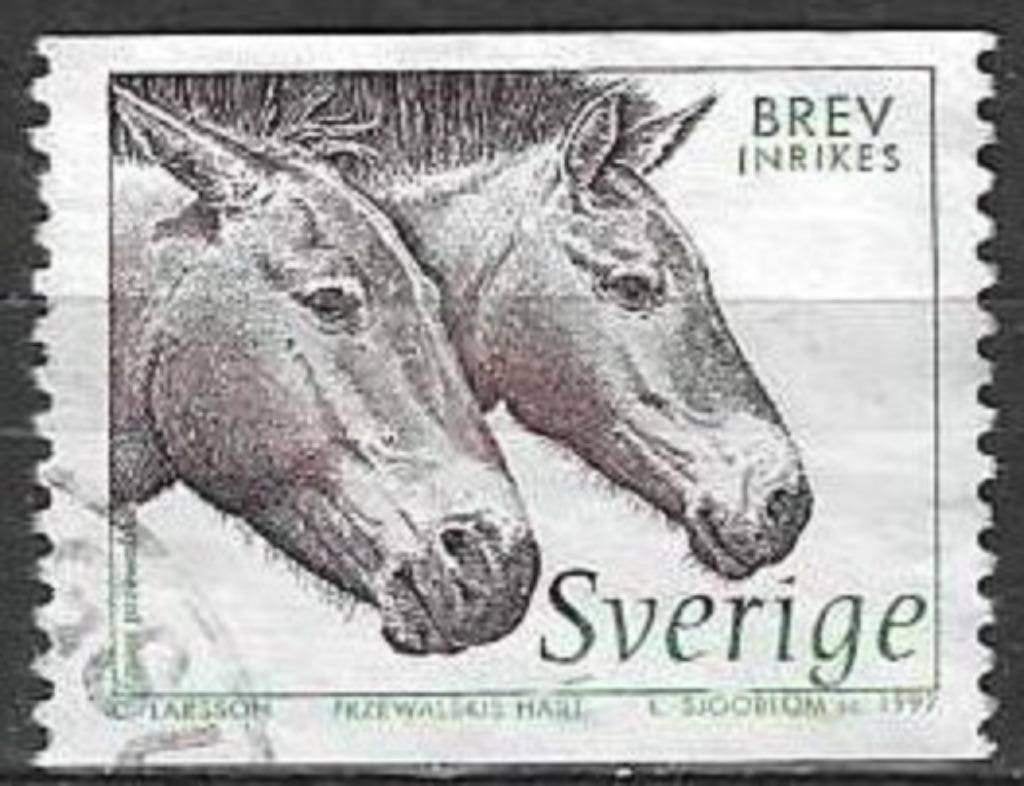 Suède 1997 - Yvert 1973 - Tête de cheval Przewalski (ST), Envoi, Suède, Affranchi