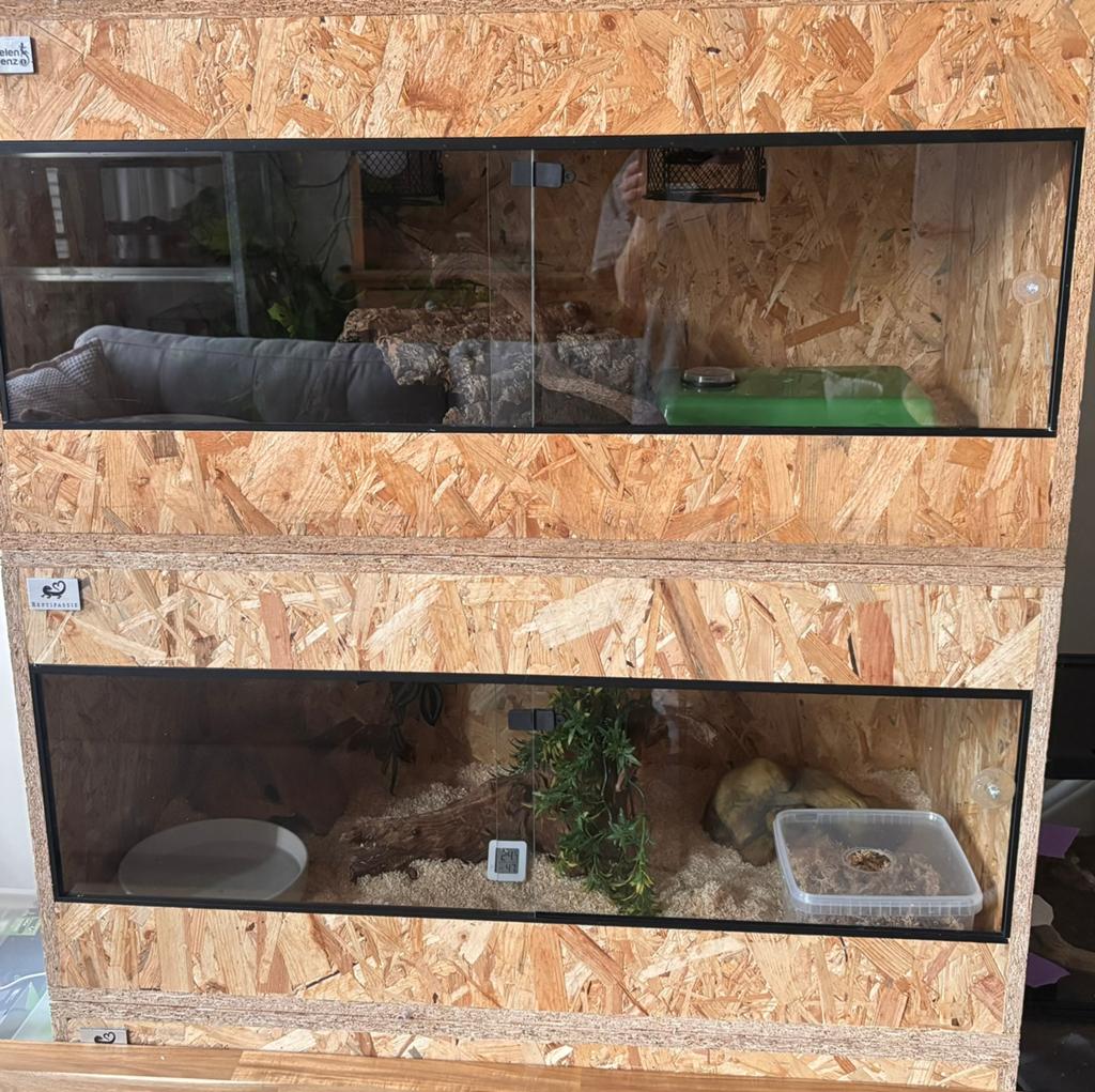 2 x osb terrarium en 1 onderkast, Enlèvement, Comme neuf